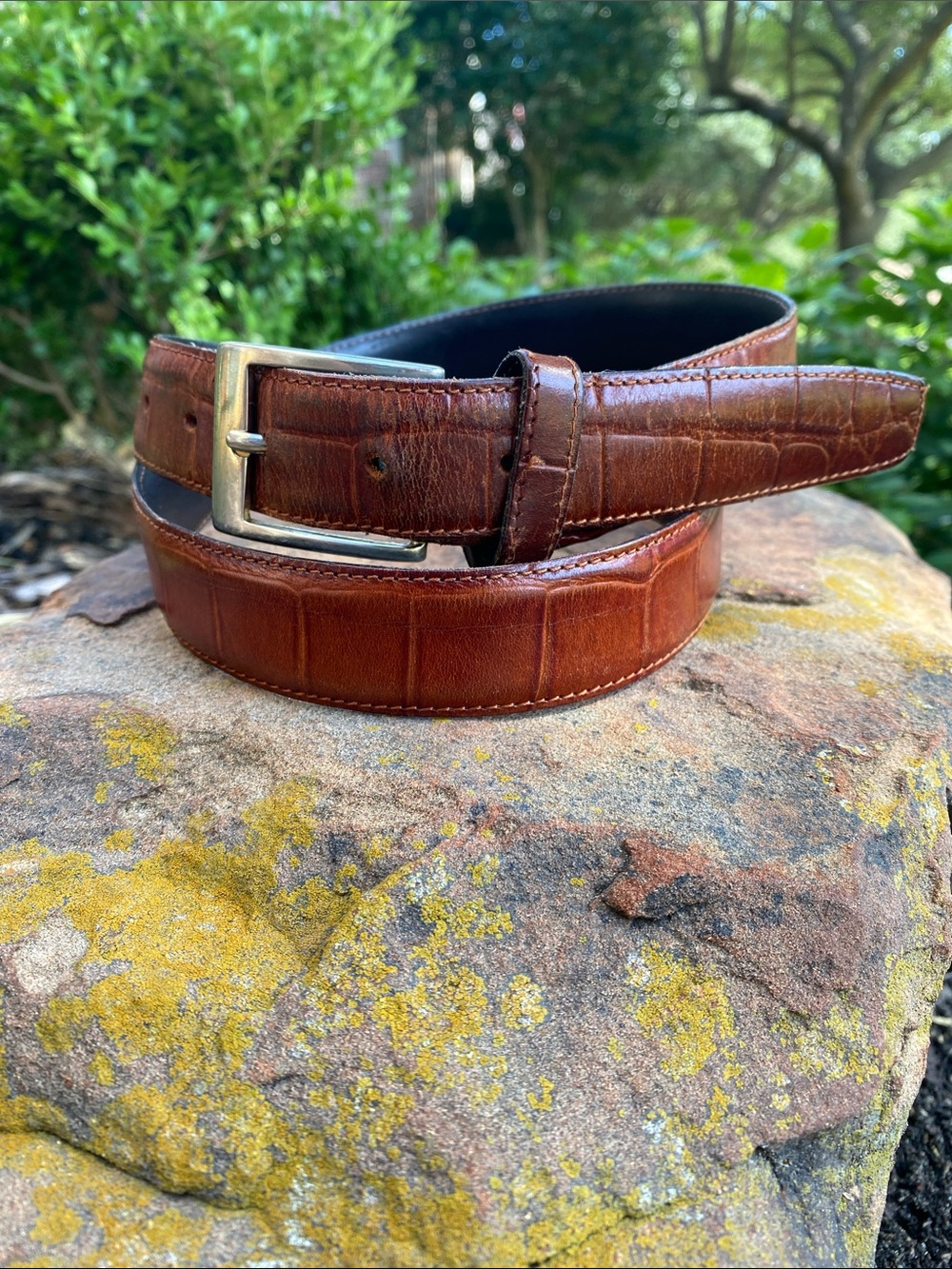 Vera Pelle Dark Brown Leather Belt with embossed alligator